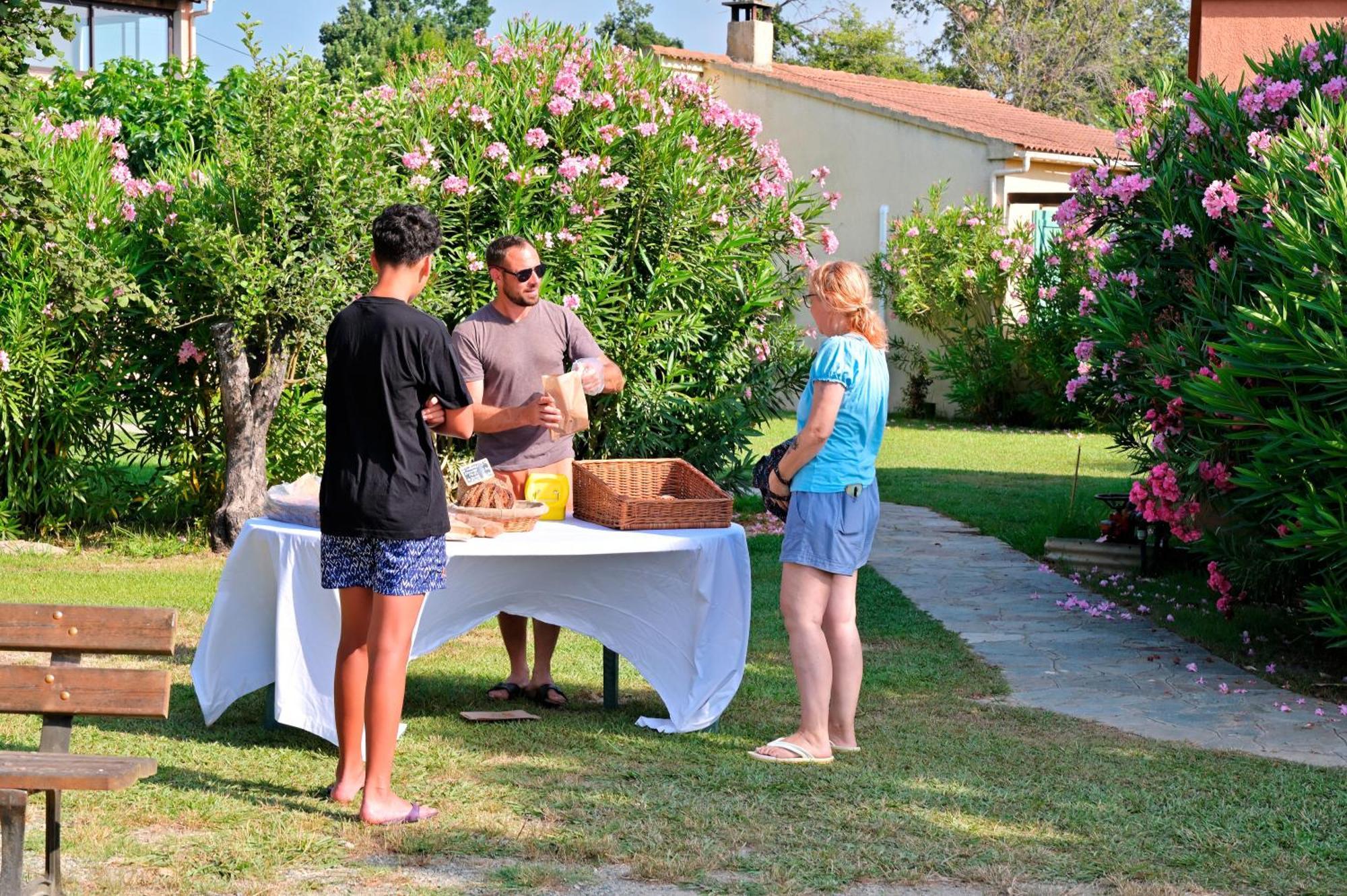 Hotel Pinea Mare à Poggio Mezzana Extérieur photo