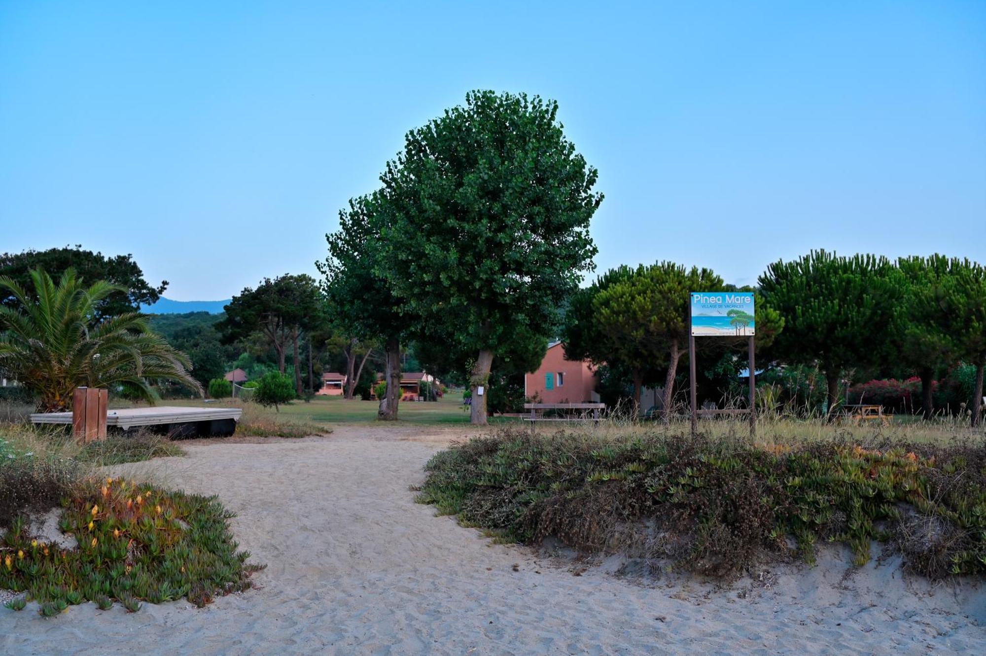 Hotel Pinea Mare à Poggio Mezzana Extérieur photo