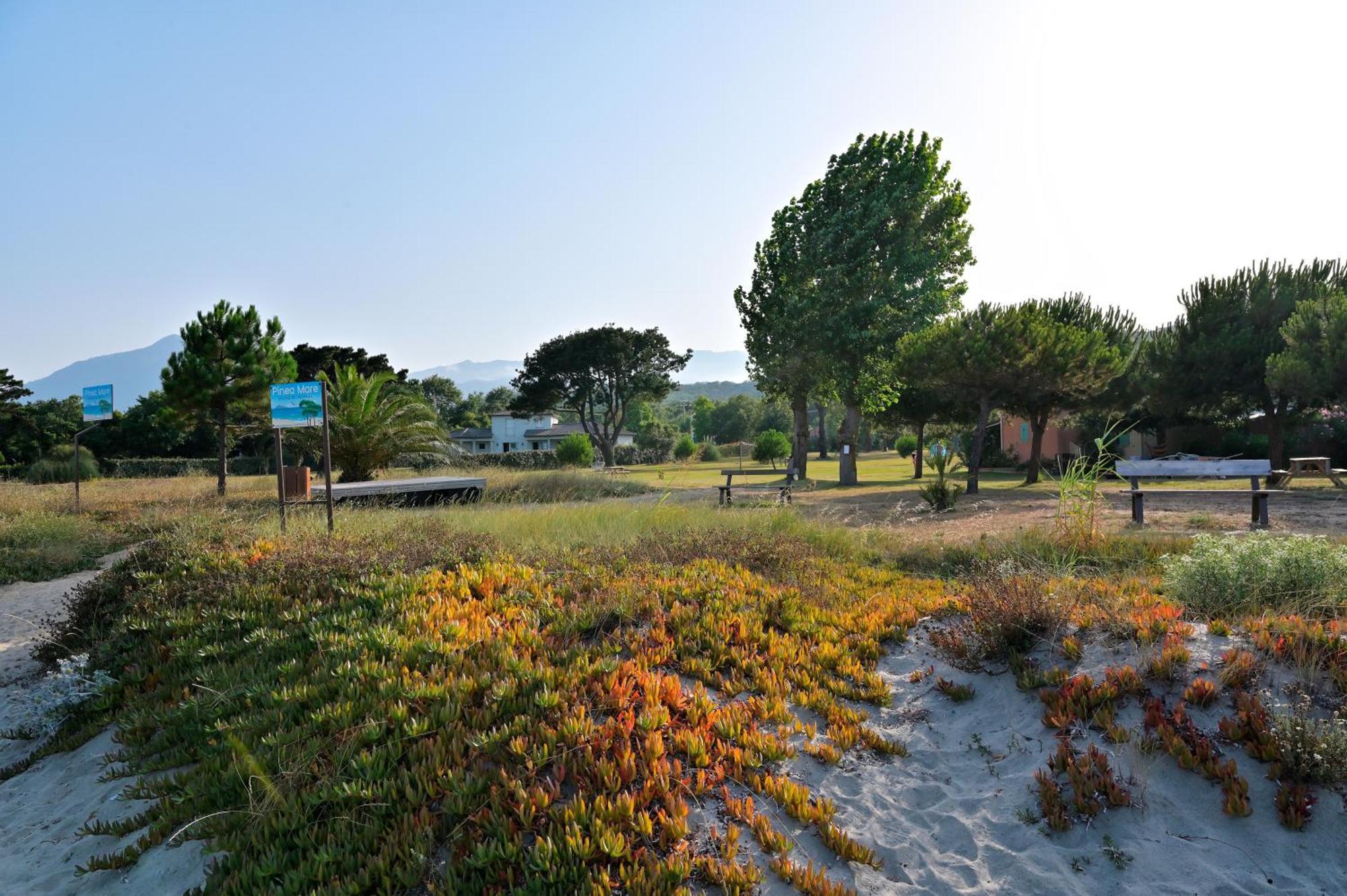 Hotel Pinea Mare à Poggio Mezzana Extérieur photo