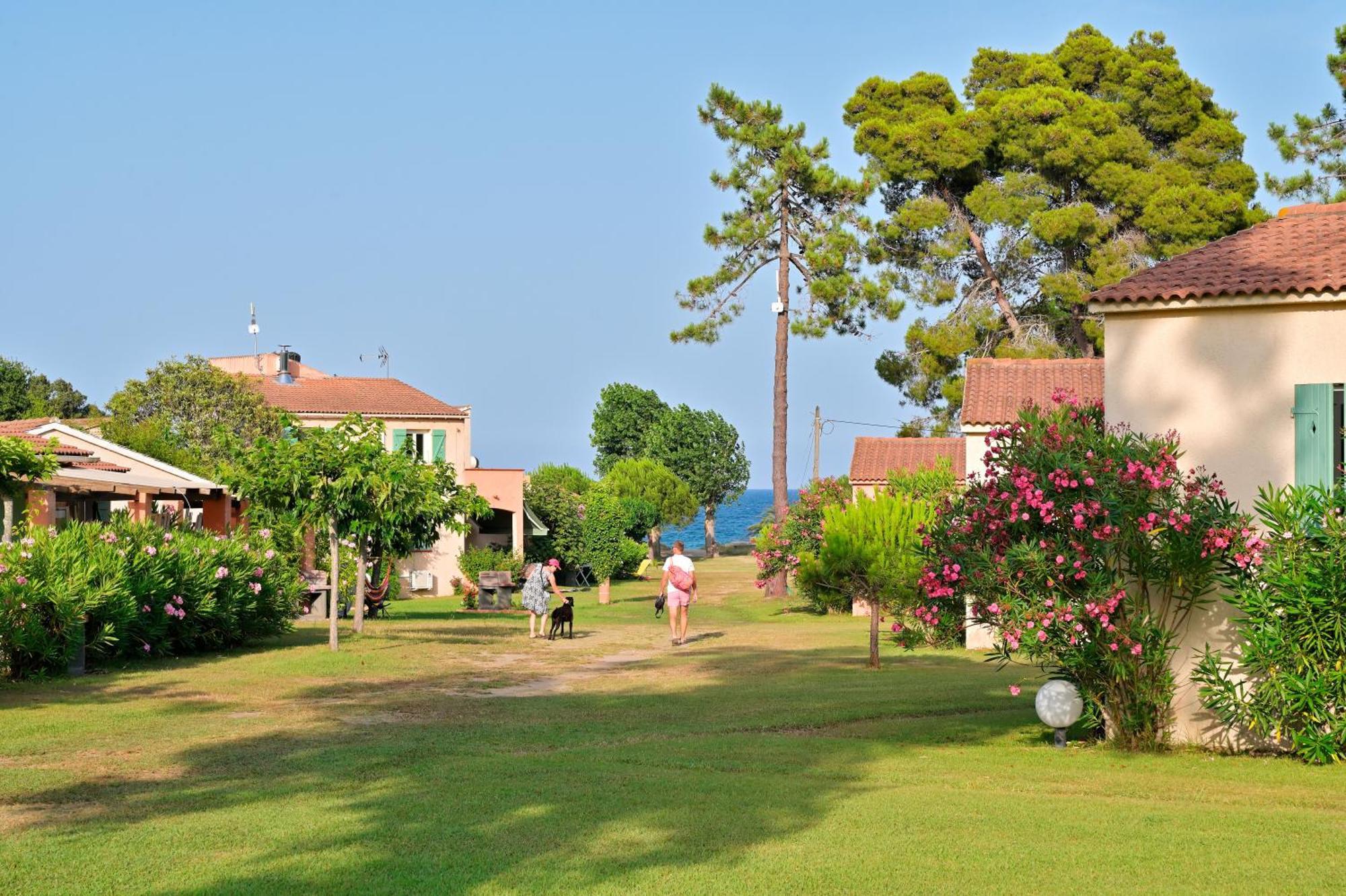 Hotel Pinea Mare à Poggio Mezzana Extérieur photo